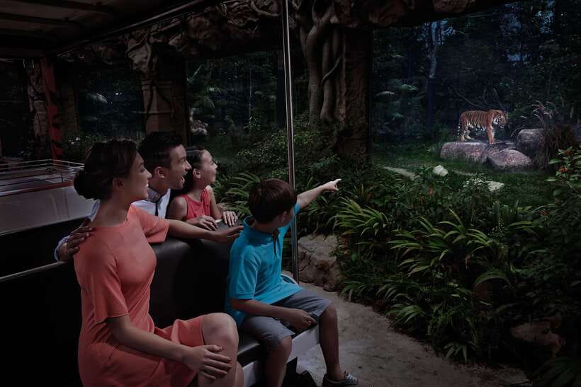 Singapore: Night Safari Entry Ticket with Tram Ride - Night Safari Entry: What You’re Really Paying For (and Why It Can Feel Worth It)