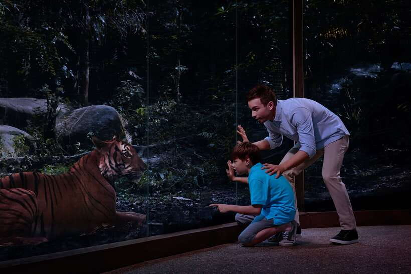 Singapore: Night Safari Entry Ticket with Tram Ride - Who Should Book This Night Safari Tram + Trails Ticket