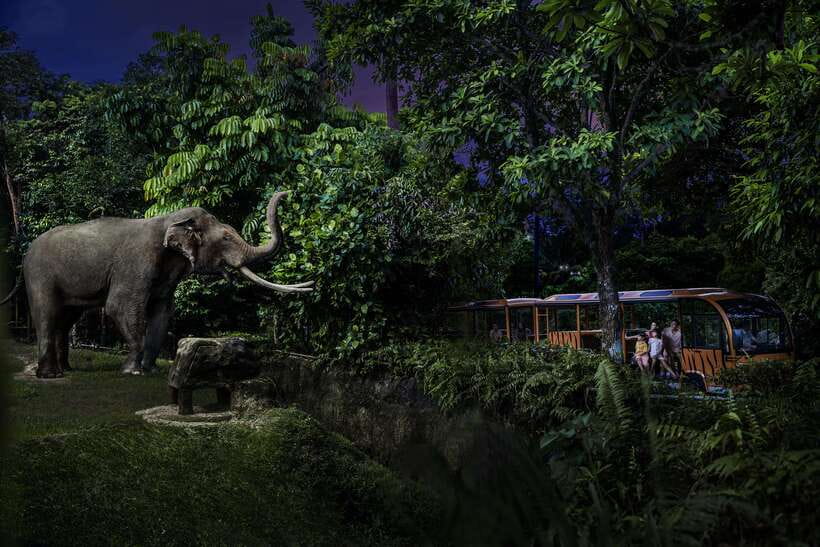 Singapore: Night Safari Entry Ticket with Tram Ride - The Open-Air Tram Through Six Zones: Your Route Control System