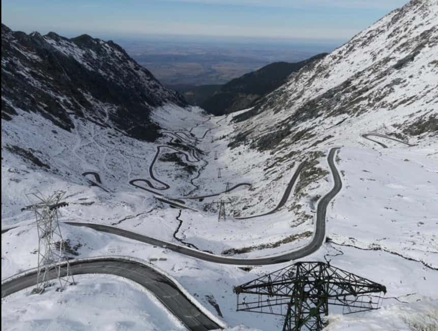 Small group Bears 'Safari' on Transfăgărășan -max 7 tourists - Why this Transfăgărășan bear safari feels different
