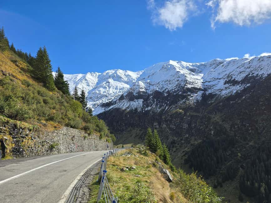 Small group Bears 'Safari' on Transfăgărășan -max 7 tourists - Bears in the wild: how to think about sightings without disappointment