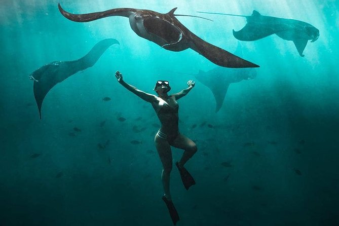 Snorkeling Manta Ray Safari in Nusa Penida - Key Points Before You Go