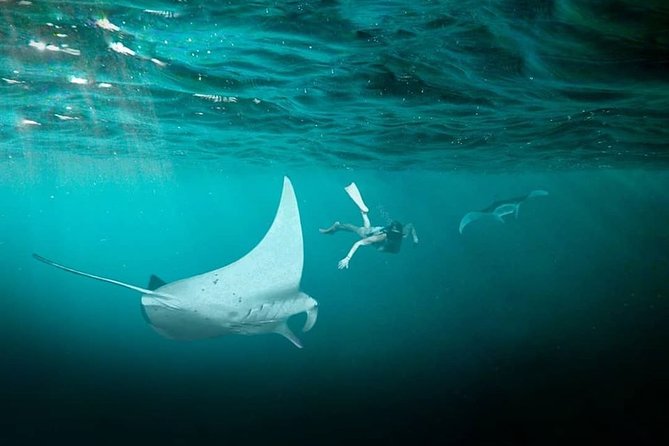 Snorkeling Manta Ray Safari in Nusa Penida - The Reef Stops That Usually Make the Magic Happen