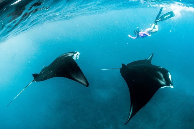 Snorkeling Manta Ray Safari in Nusa Penida - Gear, Underwater Photos, and the Staff’s Job to Help You See