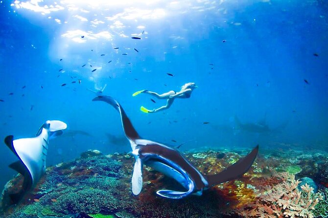 Snorkeling Manta Ray Safari in Nusa Penida - When Crowds and Currents Change the Feeling of the Day