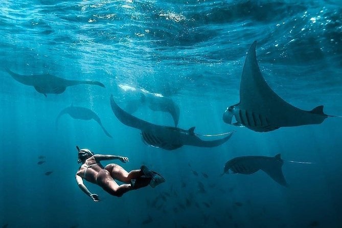 Snorkeling Manta Ray Safari in Nusa Penida - Getting There: Starting at Dolphino Snorkeling in Nusa Penida