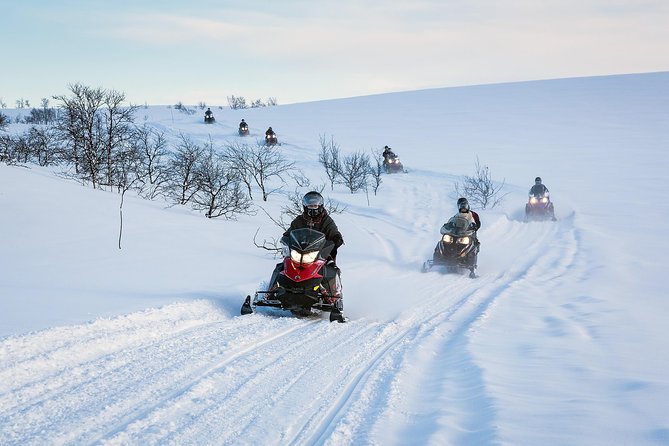 Snowmobile safari in the mountain plateau of Finnmarksvidda - Key highlights I’d plan around