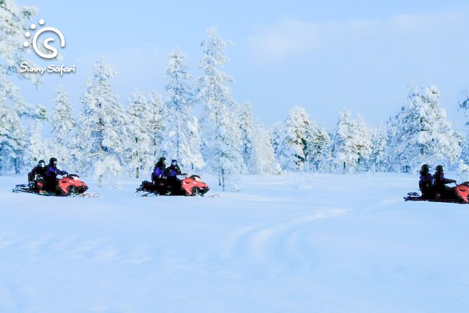 Snowmobile Safari into Arctic Wilderness - Into the Arctic Circle: What the Ride Actually Feels Like