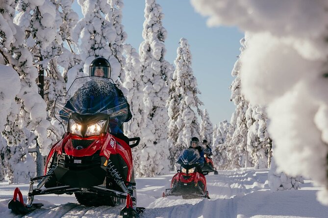 Snowmobile Safari into the Arctic Circle Forest - Entering Arctic Circle Forest: Why This 2-Hour Safari Hits Different