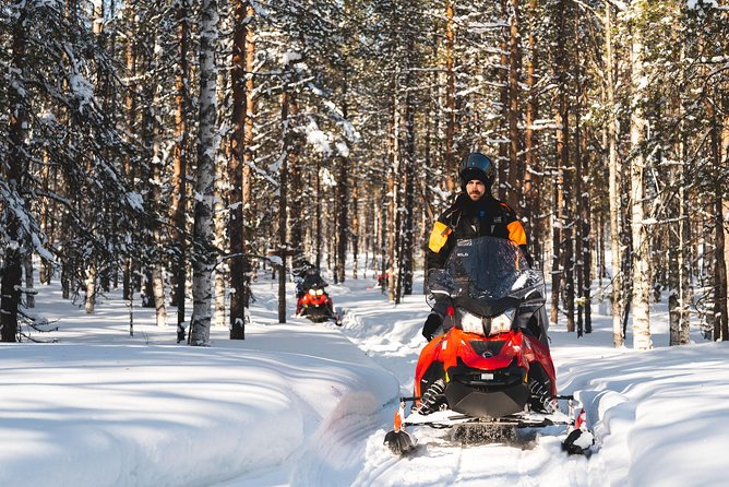 Snowmobile Safari into the Arctic Circle Forest - The 2-Hour Itinerary in Plain English: What Actually Happens