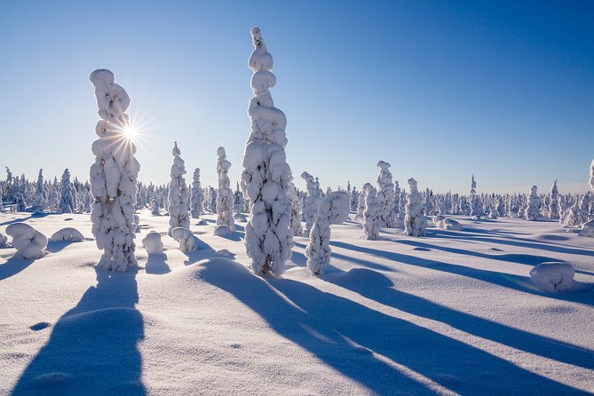 Snowmobile Safari on the Tundra - The warm-up stop: BBQ, hot drinks, and where the comfort gets rebuilt