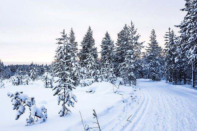 Snowmobile Safari on the Tundra - Price and value: what $179.01 includes (and what can cost extra)