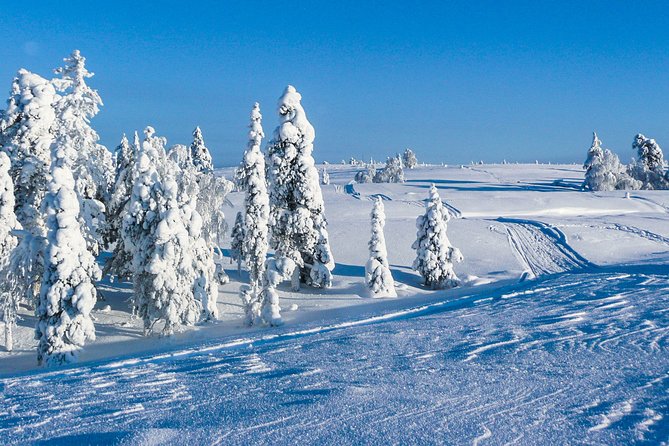 Snowmobile Safari on the Tundra - The Lynx Adventure ACE setup and winter gear: what comfort really depends on