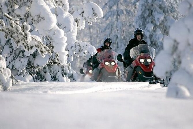 Snowmobile Safari through Lappish Forest from Rovaniemi - Key things to know before you go