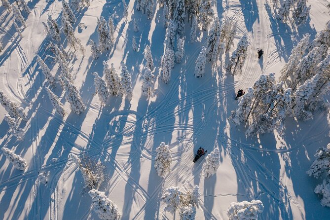 Snowmobile Safari through Lappish Forest from Rovaniemi - From Rovaniemi Pickup to Forest Briefing