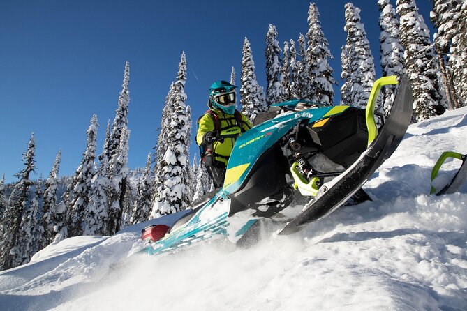 Snowmobile Safari through Lappish Forest from Rovaniemi - What Happens After the Safety Instructions