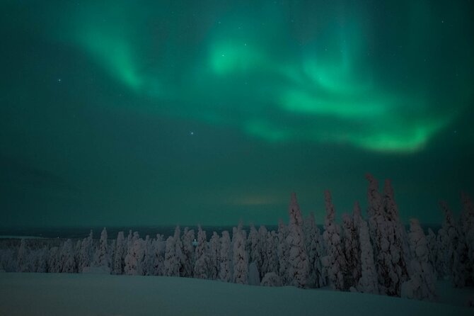Snowmobile Safari to Search for the Northern Lights - Snowmobile logistics: who drives, who rides, and comfort levels