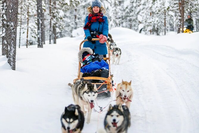 Snowy Trails 10km Husky Safari from Rovaniemi - At the Husky Farm: Training, Breeding, and Real Dog Care