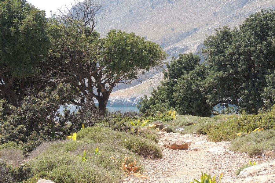 South Crete: Sarakinas Gorge Hike, Swim & Jeep Safari - Kritsa village break: short time, real texture
