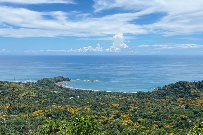 Special Private Waterfalls and Jungle Safari Tour - What the private safari vibe feels like in real terms