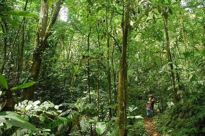 Special Private Waterfalls and Jungle Safari Tour - Price and value: why $120 per person can make sense here