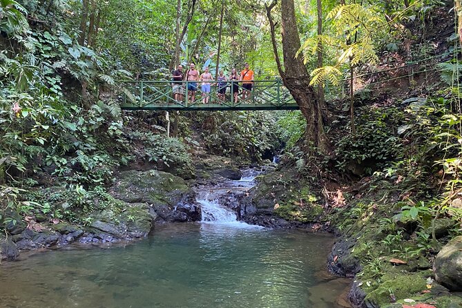 Special Private Waterfalls and Jungle Safari Tour - Stop 1: Ebano Waterfalls hike through streams, bridges, and wildlife