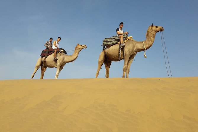 SR Camel Safari Tour Osian-Jodhpur - Key things you’ll notice right away