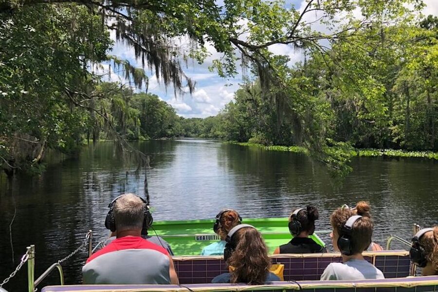 St. Augustine: St. Johns River Airboat Safari with a Guide - Wildlife Hunting: Gators, Turtles, Snakes, Birds, and the Manatee Maybe