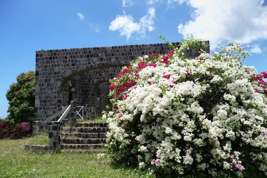 St. Kitts: Top Sights Guided Van or Open-Air Safari Tour - Key Points You’ll Care About