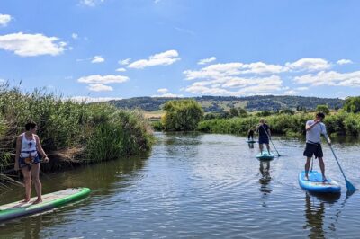Stand-up Paddleboard SUP Safari on The River Avon For Beginners - Coaches, gear, and learning the basics without the stress