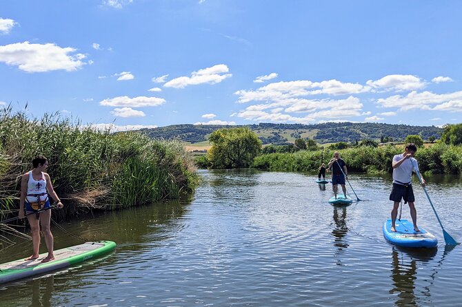 Stand-up Paddleboard SUP Safari on The River Avon For Beginners - Coaches, gear, and learning the basics without the stress