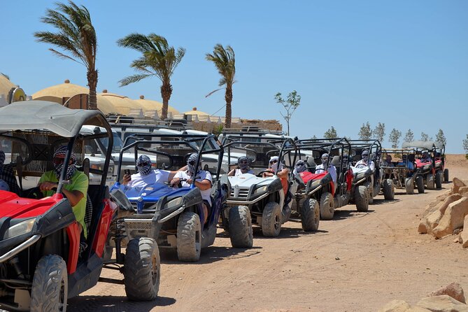 Stargazing Safari Adventure by Jeep with Bedouin Dinner-Hurghada - Scorpion safari stars and Bedouin camp highlights