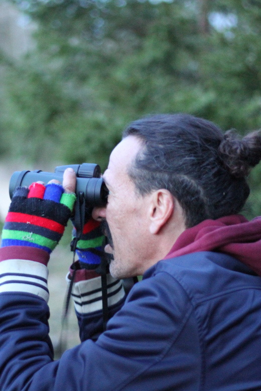 Stockholm: Wildlife Safari - The Dusk Hike and Tracking: Getting Up Close the Smart Way