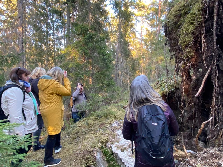 Stockholm: Wildlife Safari - Wildlife You Might See: What’s Realistic Here
