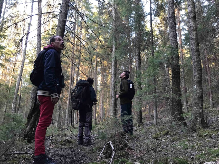 Stockholm: Wildlife Safari - Weather, Footwear, and What to Pack for a 5-Hour Evening