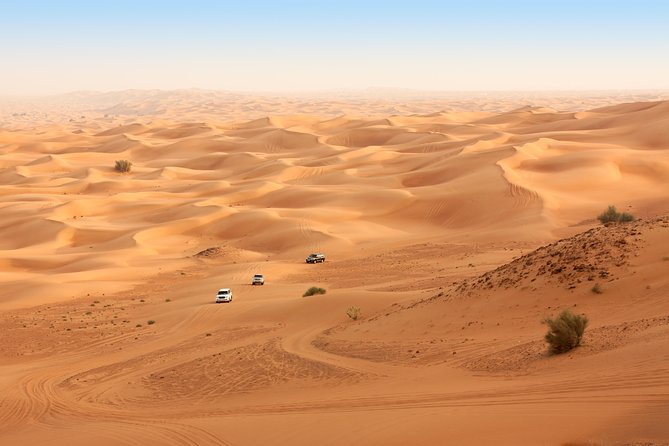 Sunrise Desert Safari from Abu Dhabi - Key things to know before you go