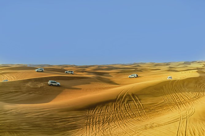 Sunrise Desert Safari from Abu Dhabi - 4x4 off-roading and photo stops: the heart of the safari