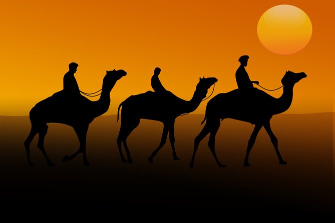 Sunrise Desert Safari from Abu Dhabi - Rayna Tours and your first stop: getting set up for the dunes