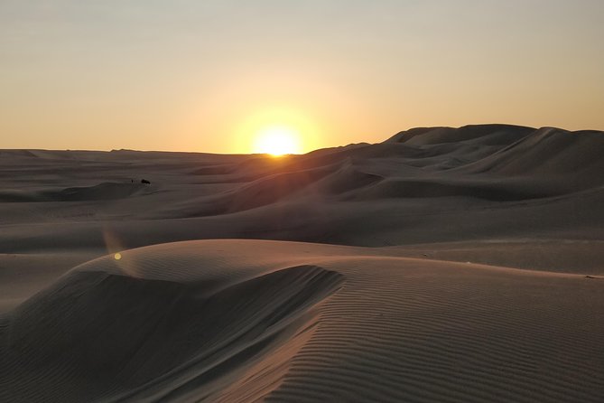 Sunrise Desert Safari in Qatar: An Unforgettable Adventure - What the Price Covers (and Why It’s Good Value)