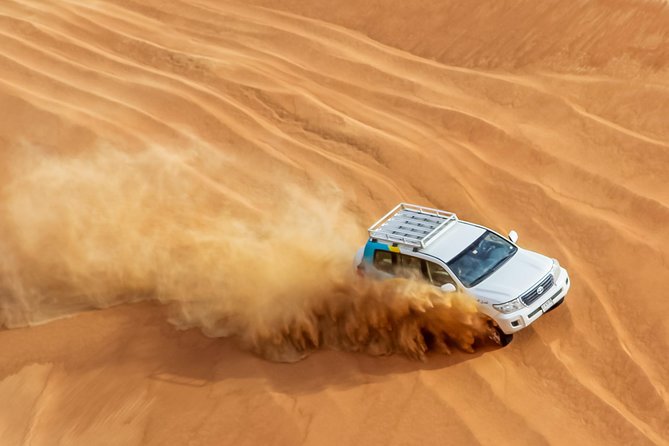 Sunrise Desert Safari with Wildlife Experience from Dubai - Sunrise + wildlife spotting: what you can realistically expect