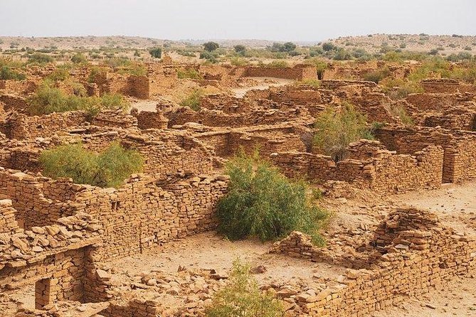 Sunset Cultural Desert Safari Tour Package - Pickup and communication: the one thing you should confirm