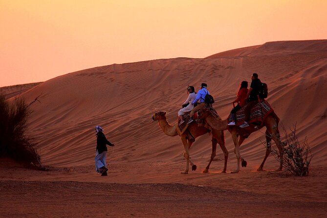 Sunset Evening Safari,Camel ride,live shows and BBQ Dinner with No Hidden Charge - The Adventure Planet camp: camel ride, henna, and three live shows