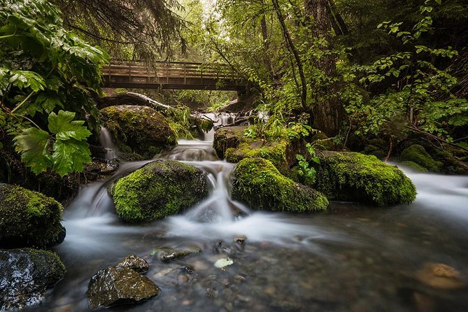 Sunset Photo Safari - Why this 4-hour Anchorage photo safari is such good value