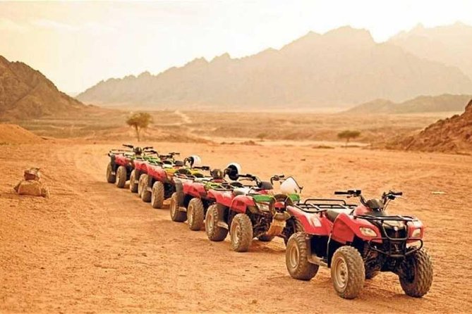 Sunset Quad Bike Safari Tour in Luxor - Who should do this, and who should skip it