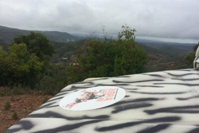 Sunset Safari - Stop 1 in Albufeira: the smooth start (about 20 minutes)