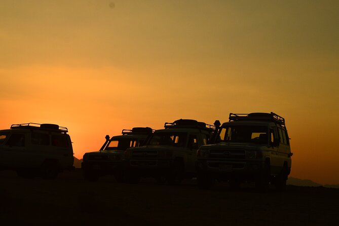 Sunset Safari trip by Jeep - Bedouin family stop: tea, bread, a camel ride, and optional shisha