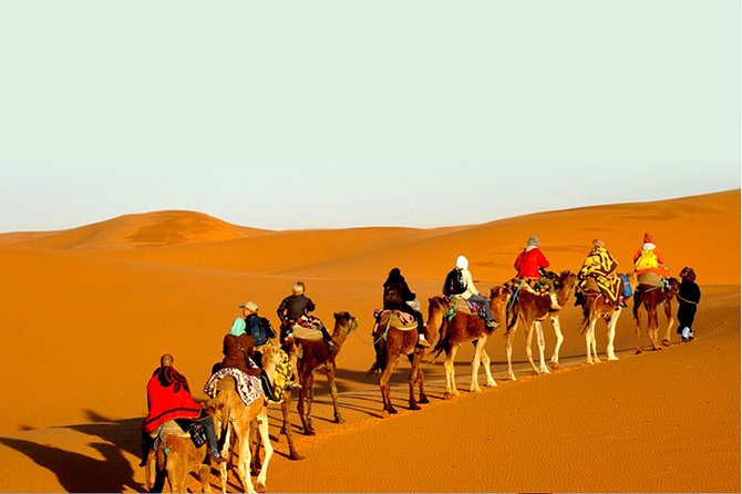 Sunset Safari With Dinner - A simple day plan: 3:00 pm out, around 10:00 pm back