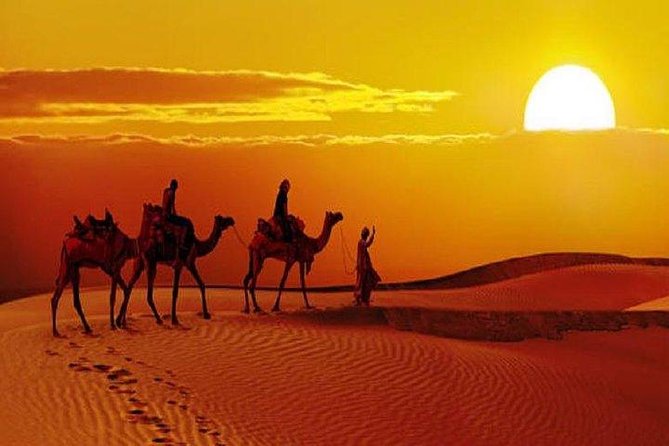 Sunset Safari With Dinner - What the price includes, and why $35 can actually make sense here
