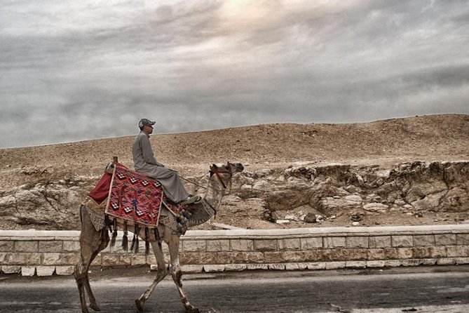 Super Safari ATV, Drive Buggy Car, Camel Ride, Bedouin Dinner, Show-Hurghada - Price and Value in Hurghada: $16.50 Plus the Extras