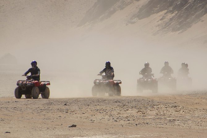 Super Safari, ATV & Sunset, Camel Ride With Dinner - Marsa Alam - From Hotel Pickup to Quad-Prep in Marsa Alam